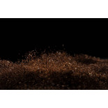 Café torréfié moulu naturel & fairtrade d'Haïti Premium - Direct pr...