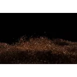 Café torréfié moulu naturel & fairtrade d'Haïti Premium - Direct pr...