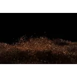 Natural & Fairtrade Ground Roasted Coffee from Haiti Premium - Dire... Natural & Fairtrade Ground Roasted Coffee from Haiti Premium - Dire...