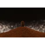 Natural & Fairtrade Ground Roasted Coffee from Haiti Premium - Dire... Natural & Fairtrade Ground Roasted Coffee from Haiti Premium - Dire...