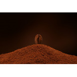 Café torréfié moulu naturel & fairtrade d'Haïti Premium - Direct pr...