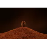 Café torréfié moulu naturel & fairtrade d'Haïti Premium - Direct pr...