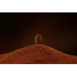 Natural & Fairtrade Ground Roasted Coffee from Haiti Premium - Dire... Natural & Fairtrade Ground Roasted Coffee from Haiti Premium - Dire...