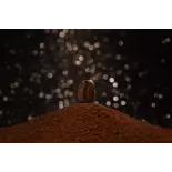 Natural & Fairtrade Ground Roasted Coffee from Haiti Premium - Dire... Natural & Fairtrade Ground Roasted Coffee from Haiti Premium - Dire...