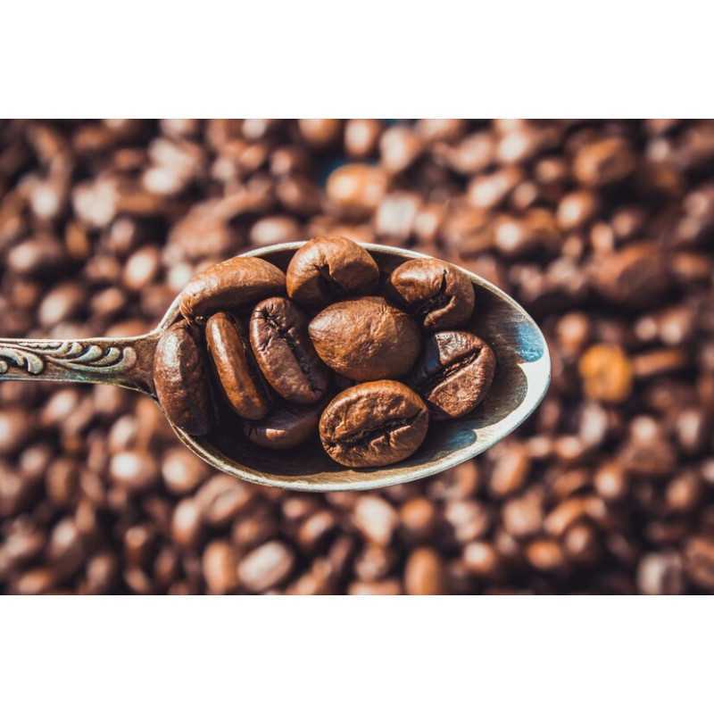 Café torréfié naturel & fairtrade en grain d'Haïti Premium - Direct...
