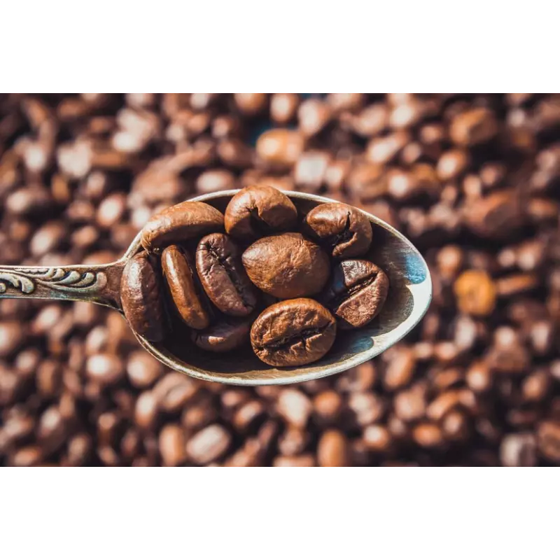 Natural & fairtrade roasted coffee beans from Haiti Premium - Direc...