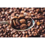 Natural & fairtrade roasted coffee beans from Haiti Premium - Direc... Natural & fairtrade roasted coffee beans from Haiti Premium - Direc...