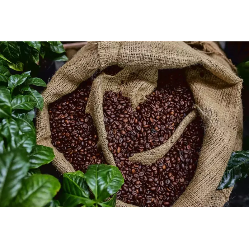 Café torréfié naturel & fairtrade en grain d'Haïti Premium - Direct...