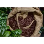 Natural & fairtrade roasted coffee beans from Haiti Premium - Direc... Natural & fairtrade roasted coffee beans from Haiti Premium - Direc...