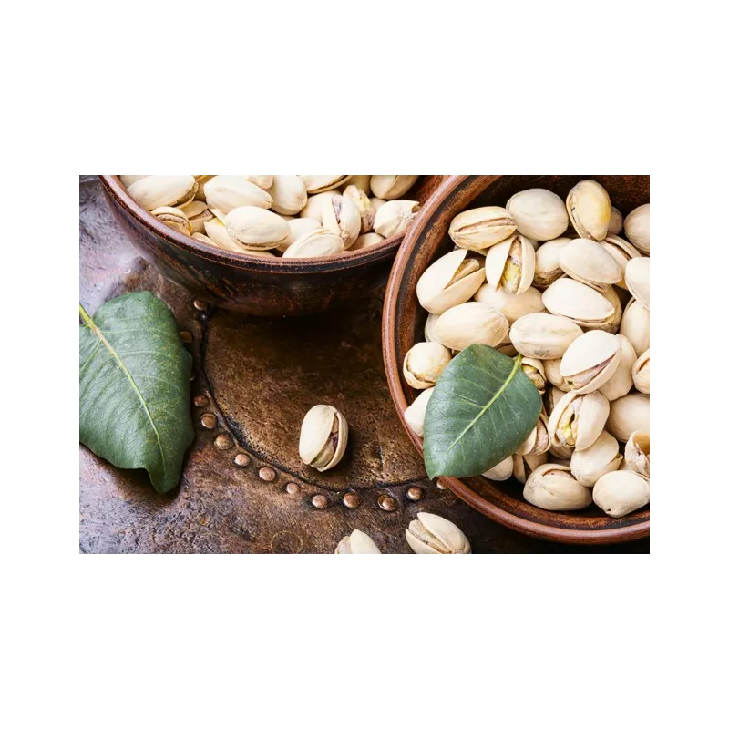 Organic pistachios PDO from Aegina in shell roasted and unsalted