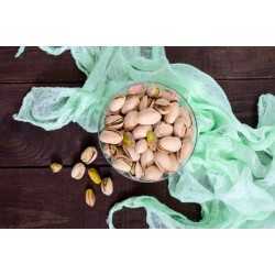 Organic pistachios PDO from Aegina in shell roasted and unsalted