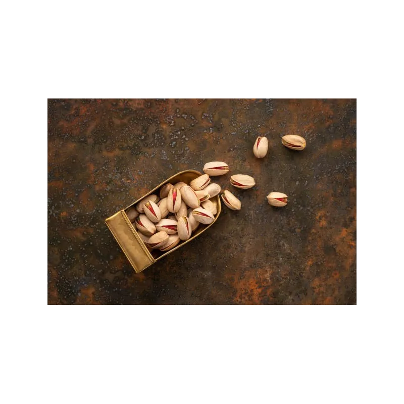 Organic pistachios PDO from Aegina in shell roasted and unsalted