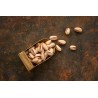 Organic pistachios PDO from Aegina in shell roasted and unsalted