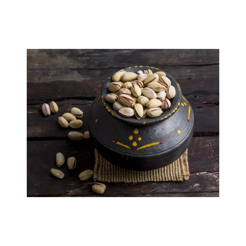 Organic pistachios PDO from Aegina in shell roasted and unsalted