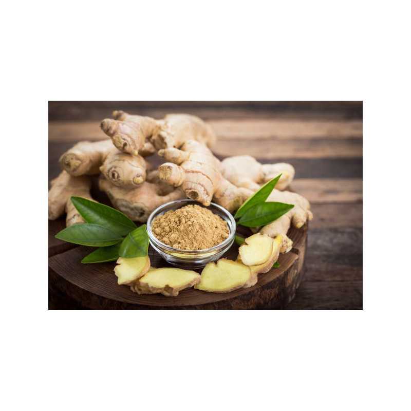 Gingembre naturel et équitable en poudre D'Haïti - direct producteur