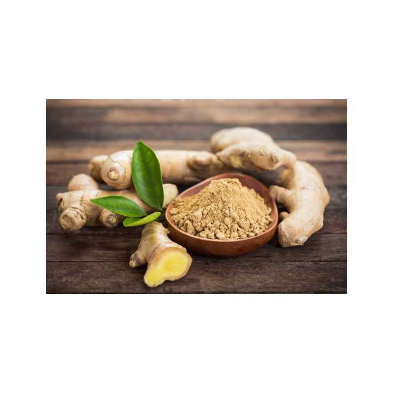 Gingembre naturel et équitable en poudre D'Haïti - direct producteur