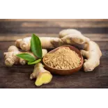 Natural and fair trade ginger powder from Haiti - direct producer