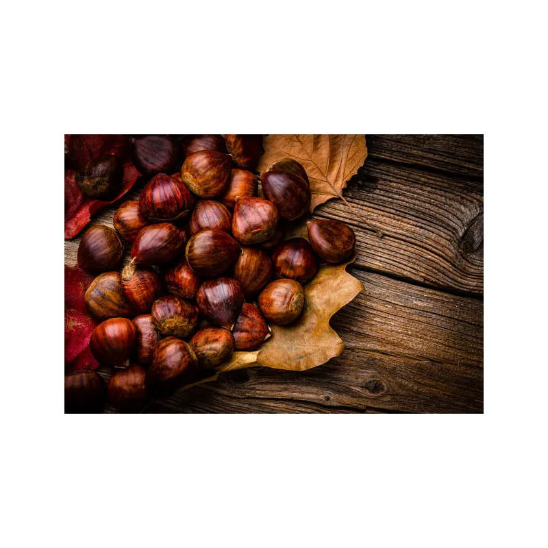 Organic chestnut PDO from Ardèche in shell - Direct producer