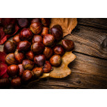 Organic chestnut PDO from Ardèche in shell - Direct producer
