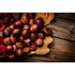 Organic chestnut PDO from Ardèche in shell - Direct producer