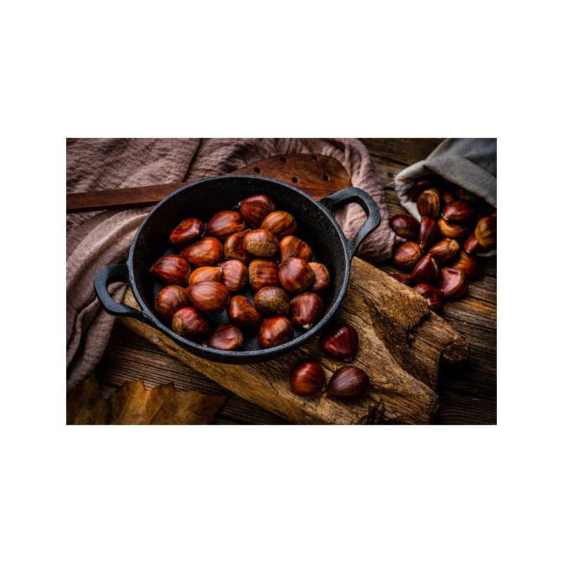 Organic chestnut PDO from Ardèche in shell - Direct producer