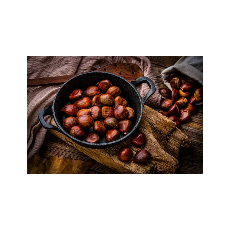 Organic chestnut PDO from Ardèche in shell - Direct producer