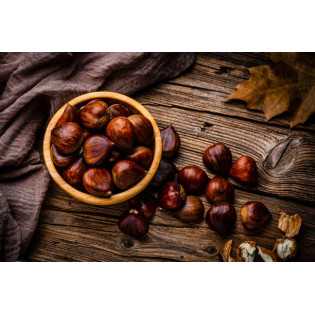 Organic chestnut PDO from Ardèche in shell - Direct producer