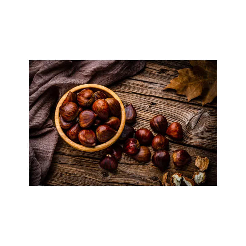 Organic chestnut PDO from Ardèche in shell - Direct producer Organic chestnut PDO from Ardèche in shell - Direct producer