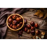 Organic chestnut PDO from Ardèche in shell - Direct producer