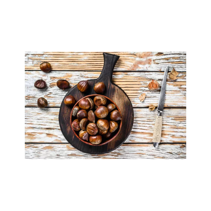 Organic chestnut PDO from Ardèche in shell - Direct producer