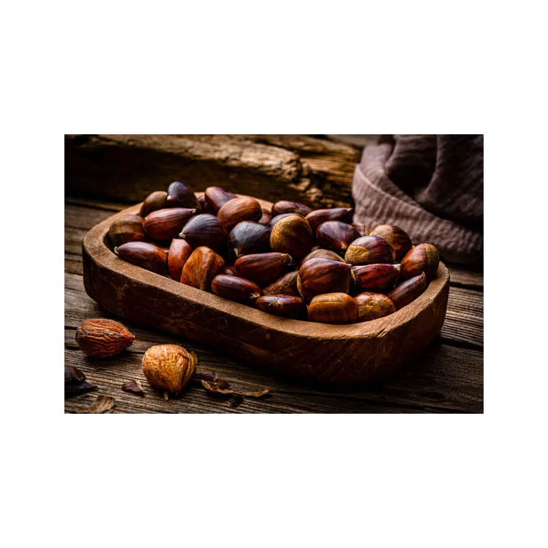 Châtaigne en coque Bio AOC AOP d'Ardèche - Direct producteur