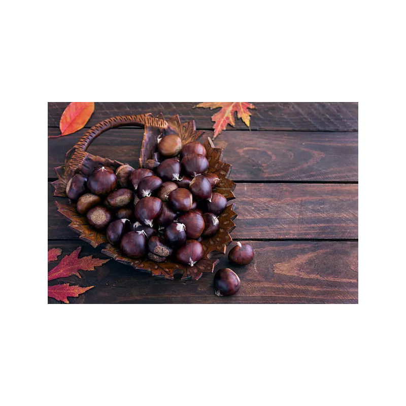 Organic chestnut PDO from Ardèche in shell - Direct producer