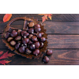 Organic chestnut PDO from Ardèche in shell - Direct producer