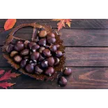 Organic chestnut PDO from Ardèche in shell - Direct producer