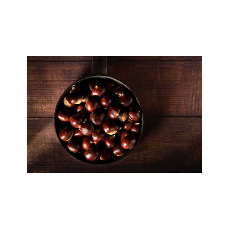 Organic chestnut PDO from Ardèche in shell - Direct producer