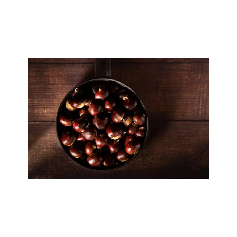 Organic chestnut PDO from Ardèche in shell - Direct producer
