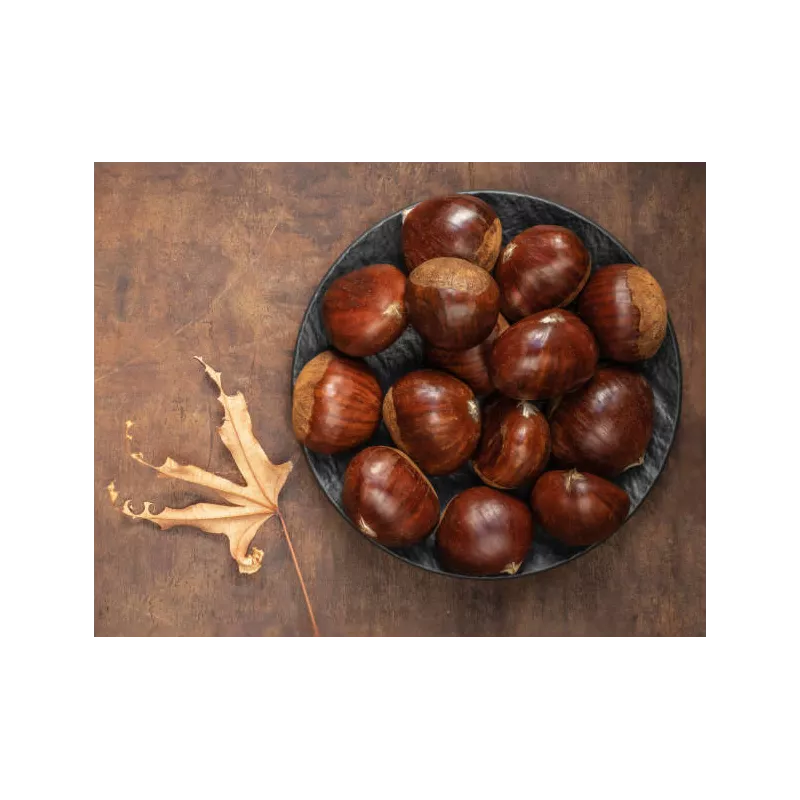 Organic chestnut PDO from Ardèche in shell - Direct producer