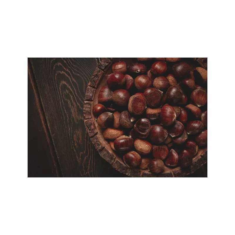 Organic chestnut PDO from Ardèche in shell - Direct producer