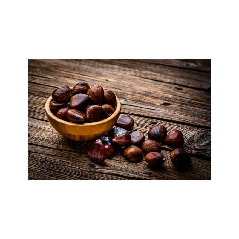 Organic chestnut PDO from Ardèche in shell - Direct producer