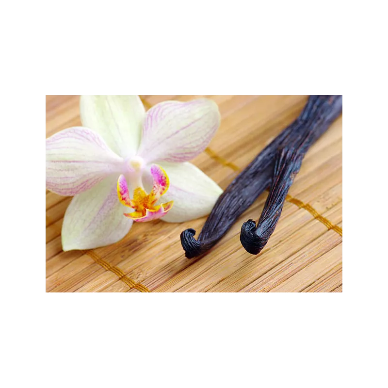 Wild vanilla from Guyana in France - 2 pods