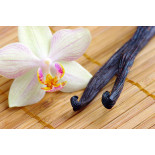 Wild vanilla from Guyana in France - 2 pods