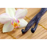 Wild vanilla from Guyana in France - 2 pods