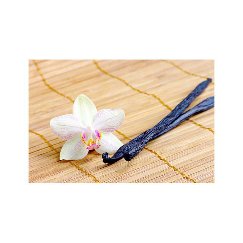 Wild vanilla from Guyana in France - 2 pods