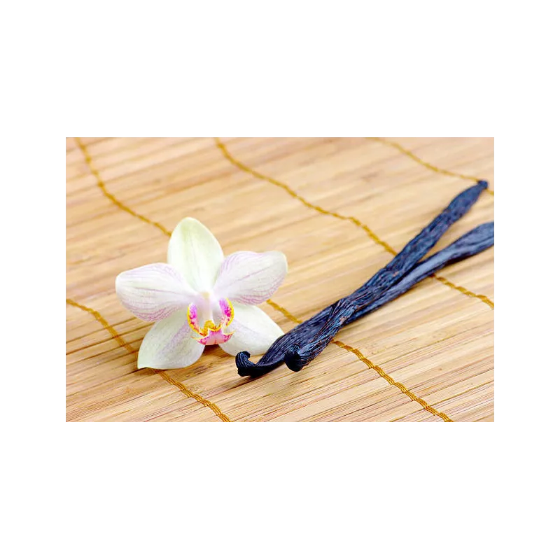 Wild vanilla from Guyana in France - 2 pods