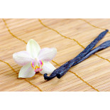 Wild vanilla from Guyana in France - 2 pods