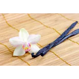 Wild vanilla from Guyana in France - 2 pods