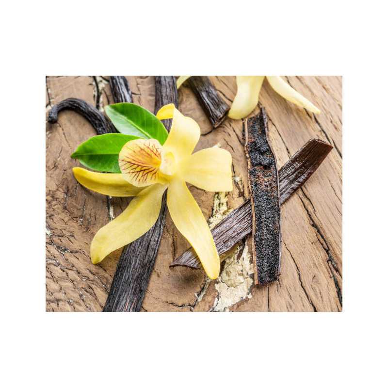 Wild vanilla from Guyana in France - 2 pods