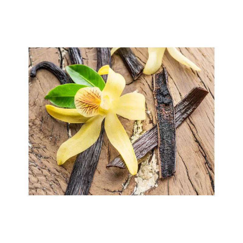 Wild vanilla from Guyana in France - 2 pods