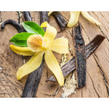 Wild vanilla from Guyana in France - 2 pods