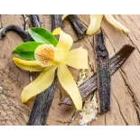 Wild vanilla from Guyana in France - 2 pods
